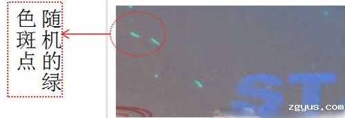 合格证—荧光防伪